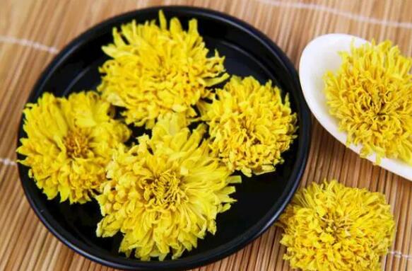 什么是菊花（菊花副作用与禁忌症）