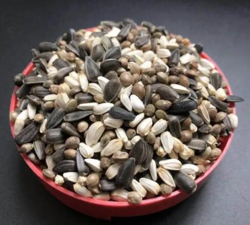 葵子的功效与作用（新会葵子的营养成分）