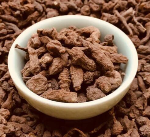 蕨麻的作用（蕨麻的作用与功效）