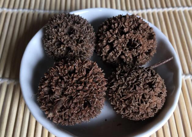 什么是路路通（路路通功效与作用的功能与主治）