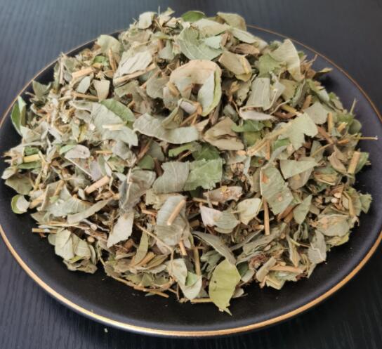 金钱草的作用（金钱草的功能主治）