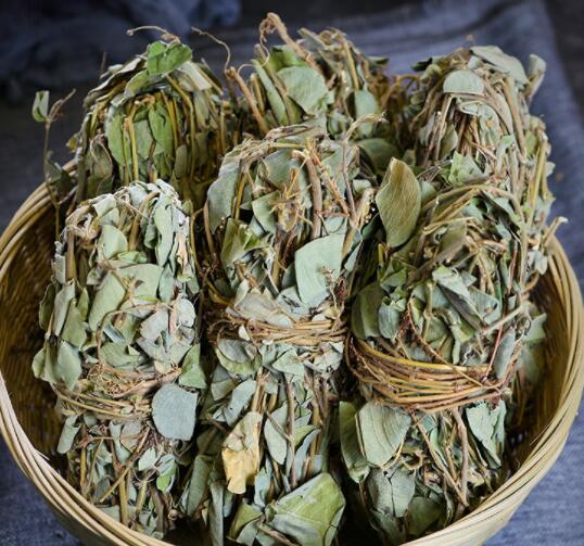 金钱草的副作用（金钱草是一种常见的草药）