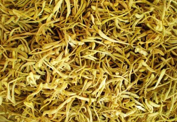 金银花功效和作用（金银花美容养颜效果好吗）