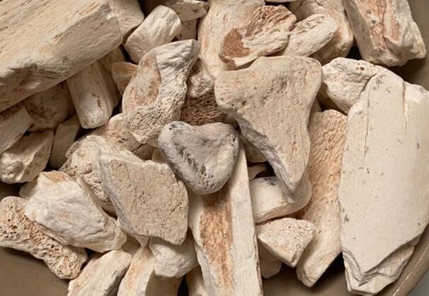 什么是龙骨牡蛎 龙骨牡蛎的功效