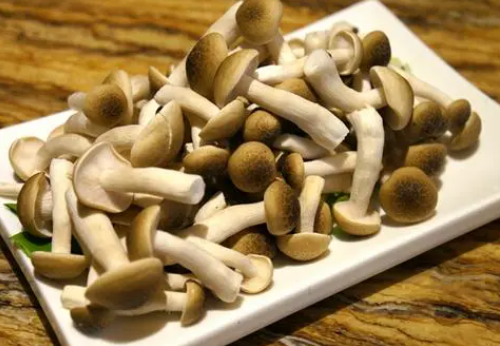 珍珠菇怎么做好吃（珍珠菇怎么做好吃又简单的做法）