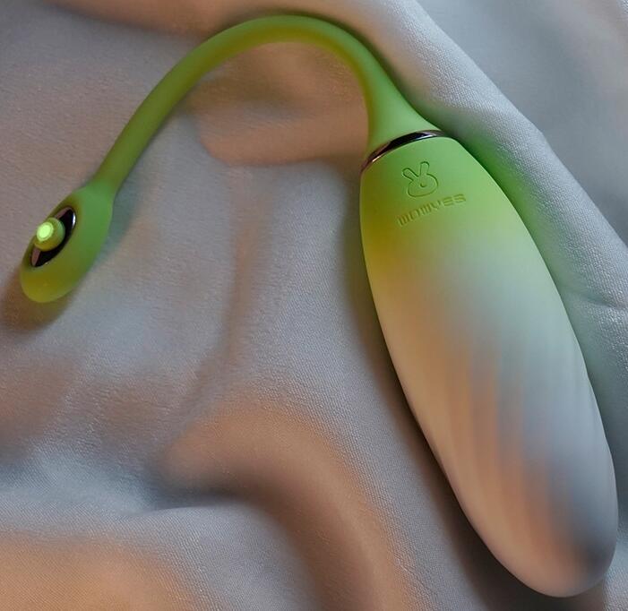 两性情趣用品（女生私护用品推荐两用）