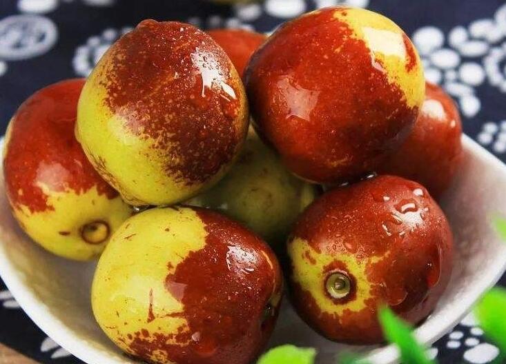 冬瓜的介绍 冬瓜功效与作用营养价值