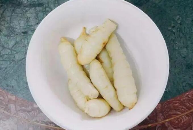 冬粉薯的营养价值（冬粉薯适用人群）