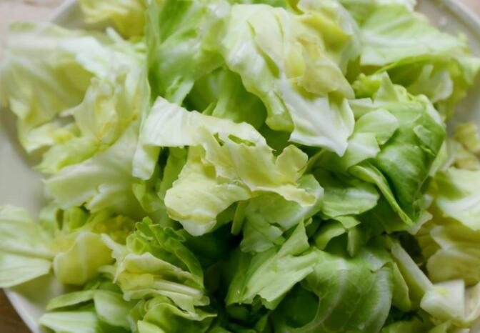 包菜的营养价值及功效（包菜的禁忌）