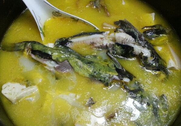 什么是昂子鱼豆腐汤（昂子鱼豆腐汤的营养价值）