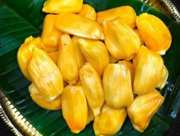 什么是菠萝蜜（吃菠萝蜜有啥营养）