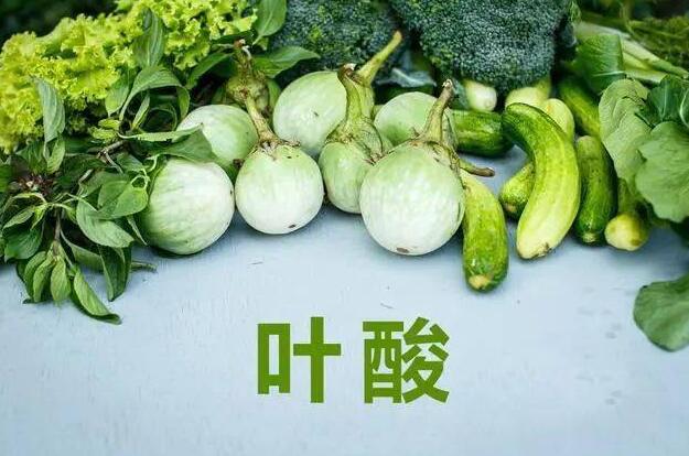 大脑需要哪些营养物质（重要的营养物质）