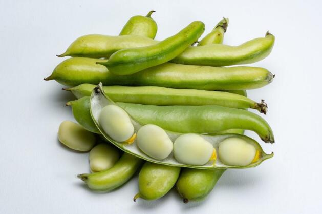 大蚕豆的营养价值（大蚕豆中的营养成分）