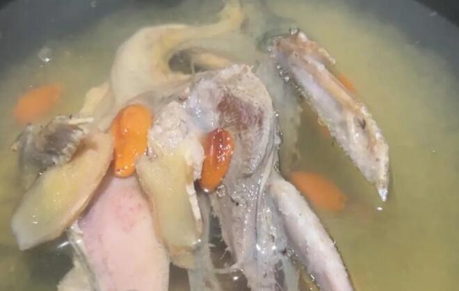 烹制儿童斑鸠汤的最佳方法(儿童斑鸠汤怎么炖最营养)