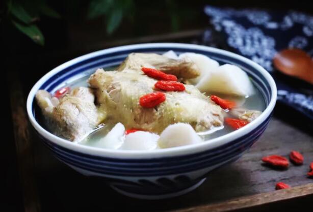 斑鸠的营养价值和制作方法（斑鸠和鸽子哪个营养价值高）