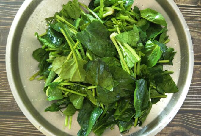 菠菜营养的功效与作用（菠菜治什么病最快）