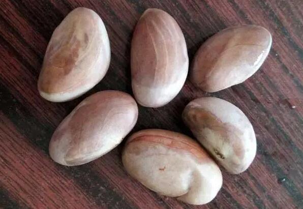菠萝蜜的核有什么营养（菠萝蜜的核有哪些营养）