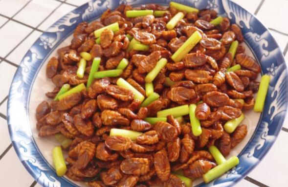 为什么选择蚕蛹（蚕蛹怎么做好吃有营养价值）