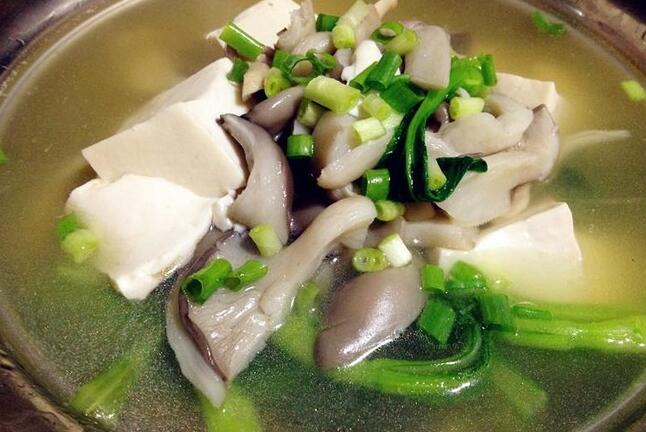 豆腐有啥营养价值（豆腐的营养价值高不高）