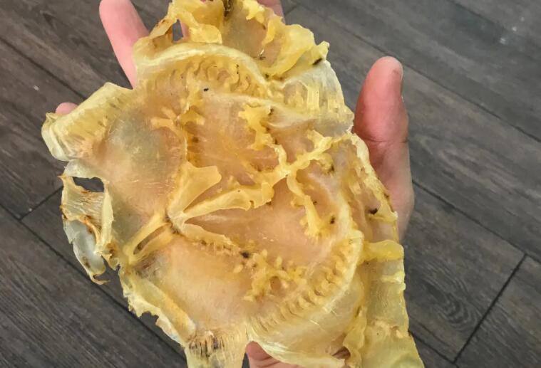 赤鱼胶的营养价值（赤鱼胶和鳘鱼胶）