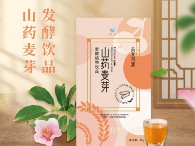 轻氏山药麦芽发酵饮品