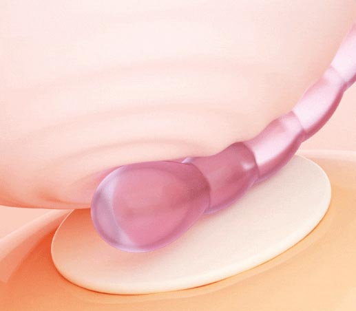情趣玩具怎么用女士玩的：女性如何正确使用情趣玩具