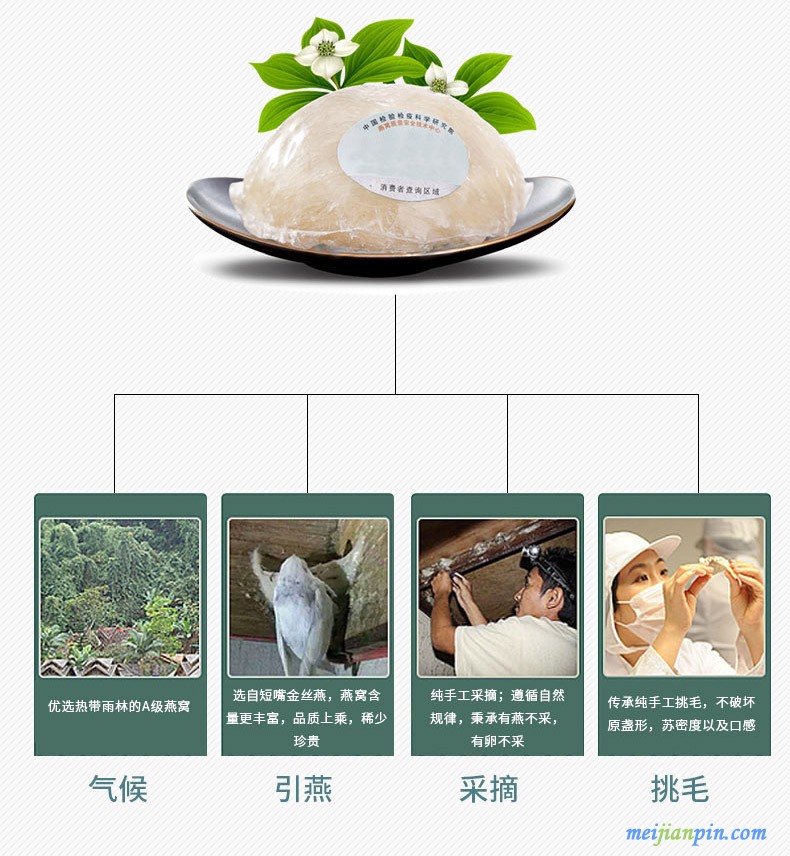 即食燕窝代加工OEM