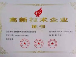 高新技术企业