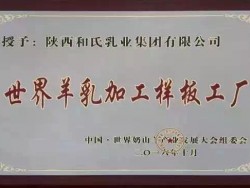 世界羊乳加工样板工厂