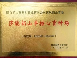 莎能奶山羊核心育种场