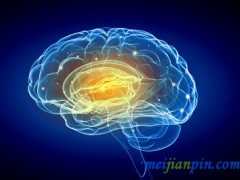 恢复脑神经的最好方法 四种方法值得分享