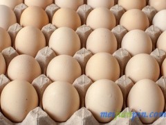 防老年痴呆吃十种食物 哪种食物效果最好