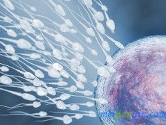 如何自我检查精子质量 提高精子质量的方法