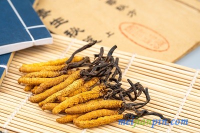 冬虫夏草