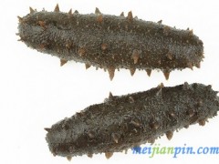 海参的十大功效 食用海参的好处