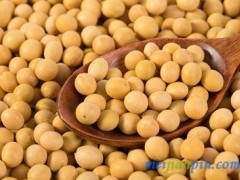 快速生精子的方法 3类食物建议多吃
