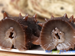 补肾壮阳吃什么最好 五种食物建议多吃