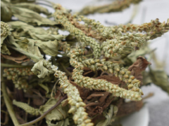 降尿酸最好的中草药 四种中草药可推荐
