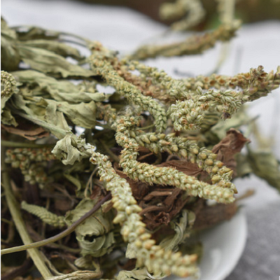 image 车前草