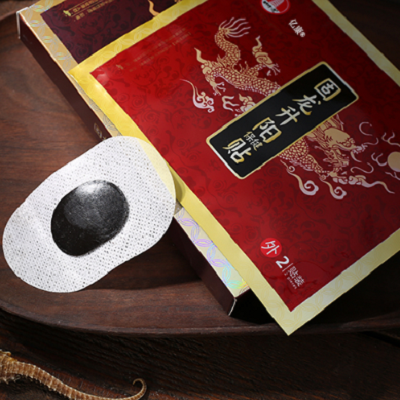image 固龙升阳贴