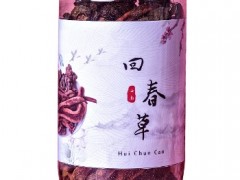 回春草有哪些用途 了解它的四大功效