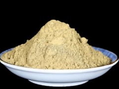 鹅不食草治疗鼻炎的正确使用方法