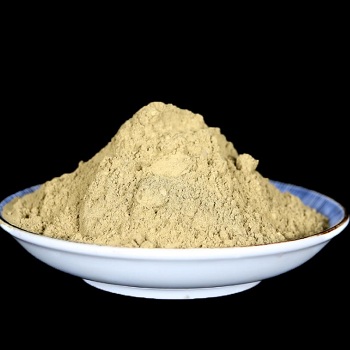 image 鹅不食草