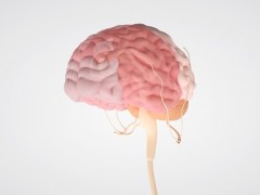 记忆力训练方法有哪些 这四种方法效果不错