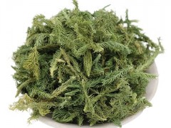 伸筋草的作用与用途 详解使用伸筋草的四大好处