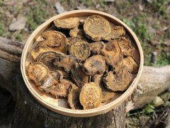 大黄泡水的功效与作用 泡水喝有禁忌吗