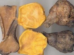 中药里扶阳的五大药 公认五种抚阳中药