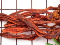 不老草有什么功效与作用 揭秘不老草的3大作用