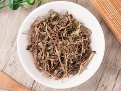 地稔根有什么功效与作用 介绍地稔根的4大好处