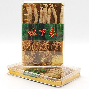 林下参